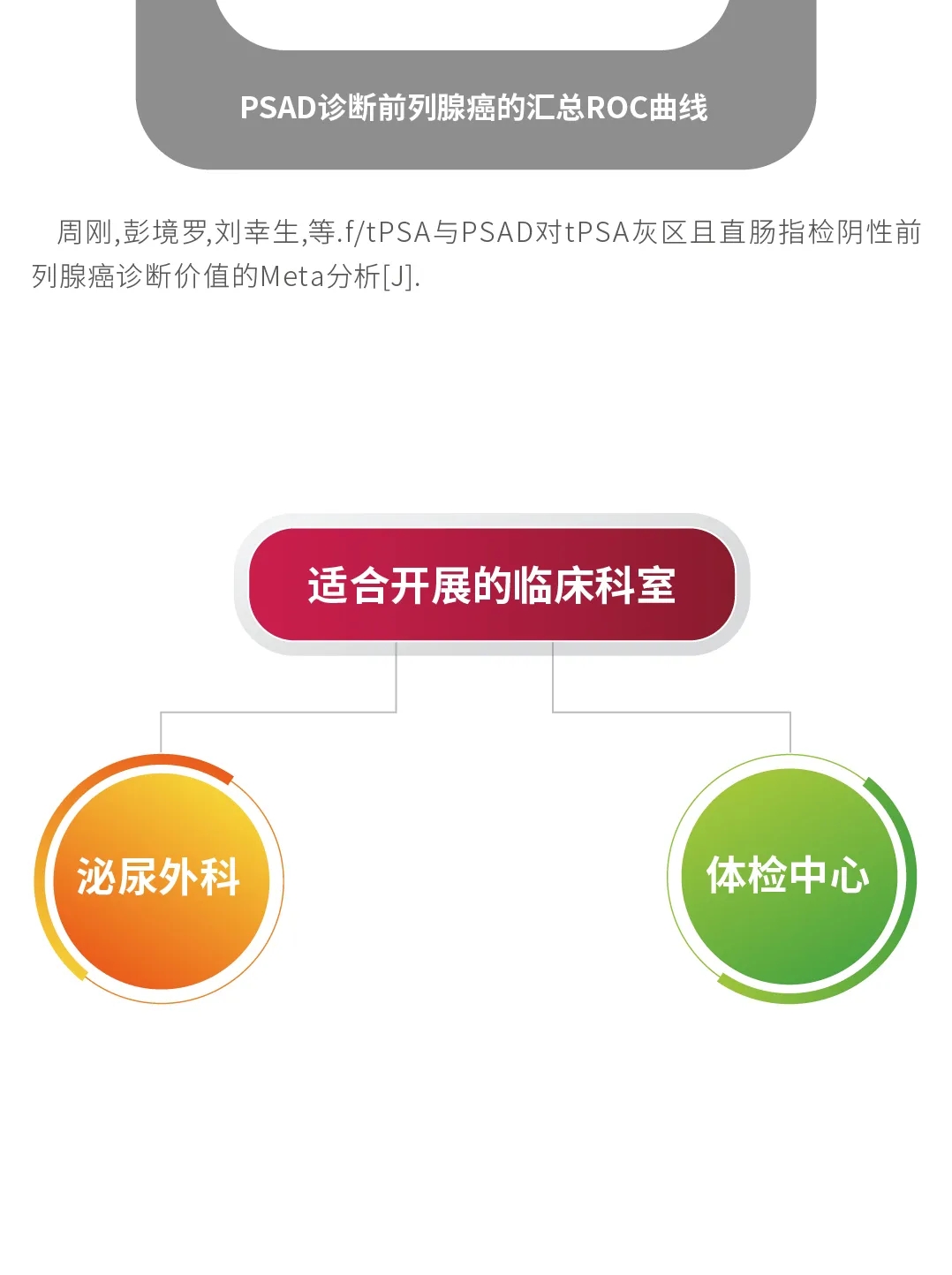 19.webp
